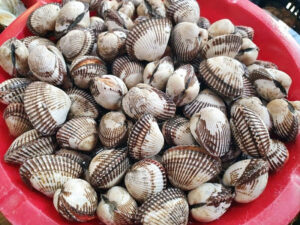 꼬막이 우리 몸에 좋은 점