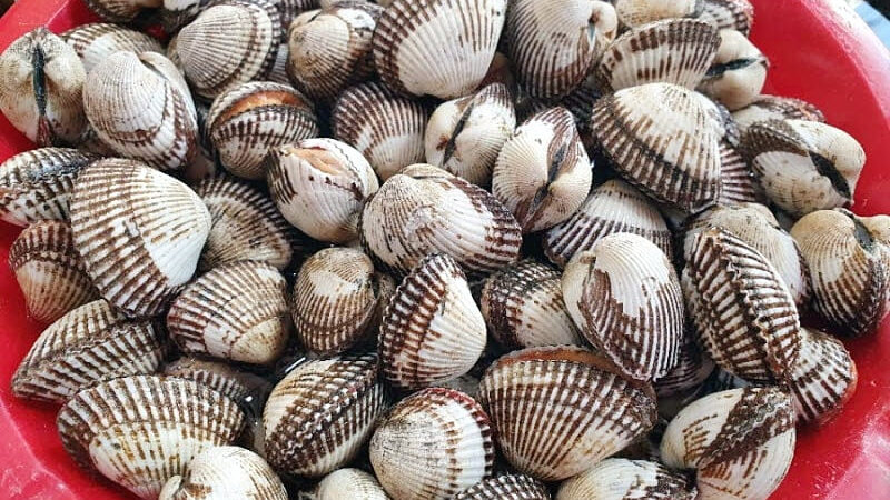 꼬막이 우리 몸에 좋은 점