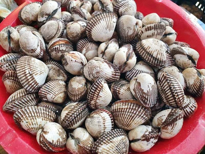 꼬막이 우리 몸에 좋은 점