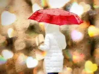 쇼트그램 블로그