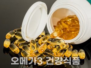 오메가3 영양제 건강보조식품