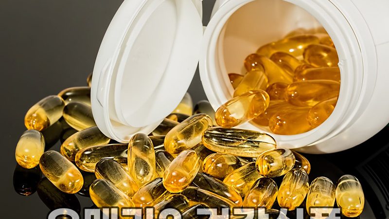 오메가3 영양제 건강보조식품