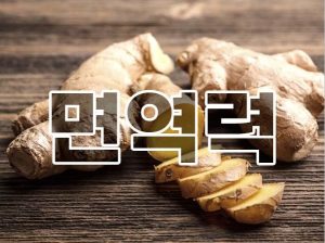 암환자 면역력 식재료