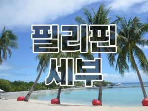 Read more about the article 필리핀 세부(Cebu) 역사, 관광지, 대표음식, 호텔 리조트 알아보기