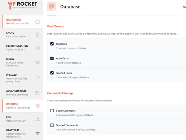 WP ROCKET DATABASE 설정