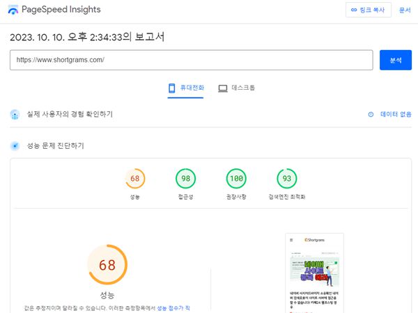 구글 페이지 스피드 인사이트