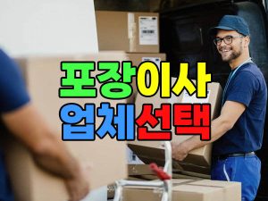 포장이사 업체 선택 요령