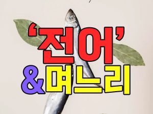 전어구이와 며느리 관계
