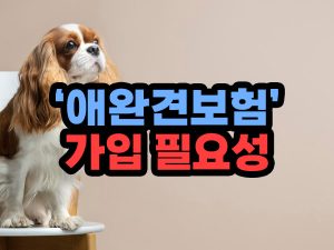 애완동물 보험 가입 필요한 이유