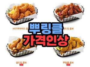 BHC 뿌링클 치킨 가격인상