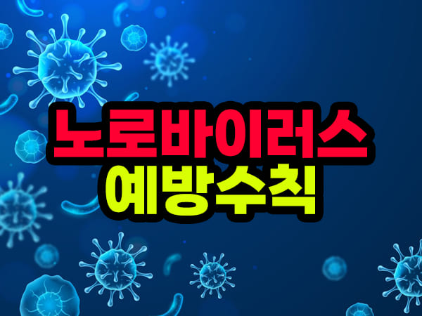 노로바이러스 감염 증상