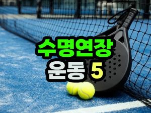 수명 연장 운동 종류