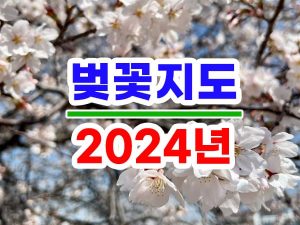 2024년 벚꽃지도