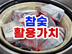 참숯 활용 가치