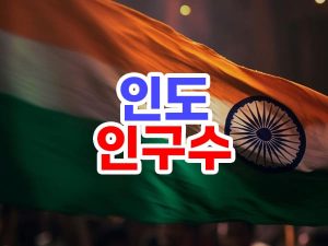 인도 인구수 잠재적 경제력