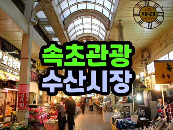 속초중앙시장 먹거리