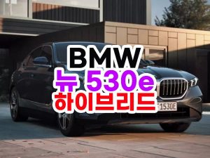 BMW 뉴 530e 하이브리드