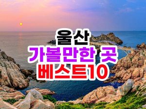 울산 가볼만한 곳 베스트 10