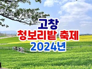 2024년 고창 청보리밭 축제