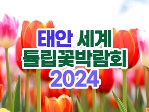 태안 세계 튤립꽃 박람회 2024년