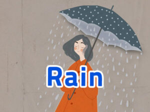 장마철 필수 아이템