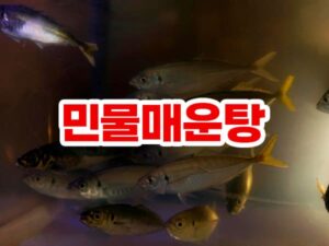 민물매운탕 유명한 지역