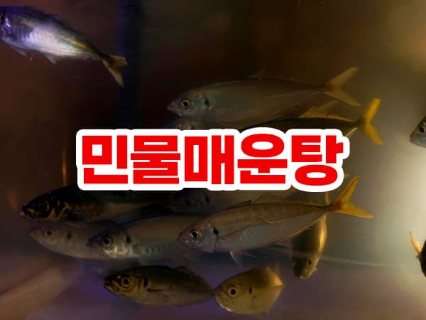 민물매운탕 유명한 지역