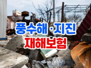 풍수해보험 및 지진재해보험