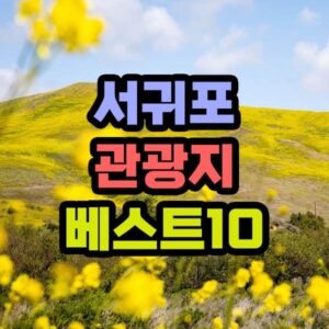 서귀포 여행 코스