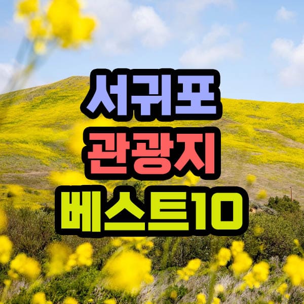 서귀포 여행 코스