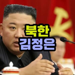 북한 김정은 건강 문제