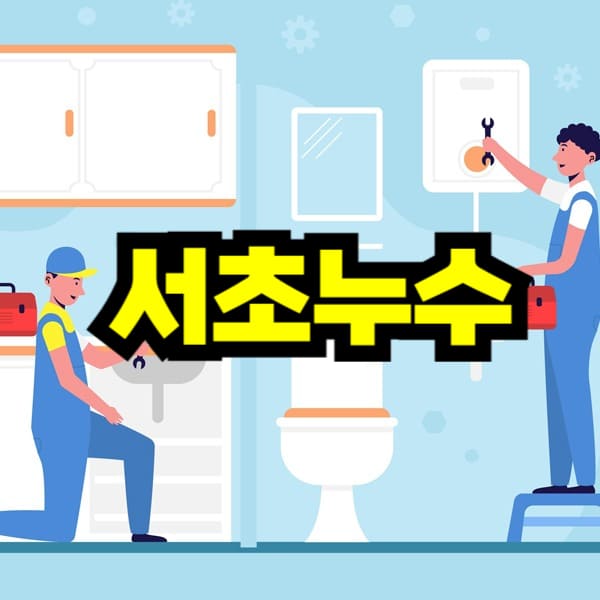 서초 누수탐지 비용
