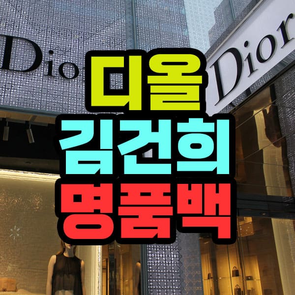 김건희 명품백 사진