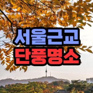 서울 단풍 명소