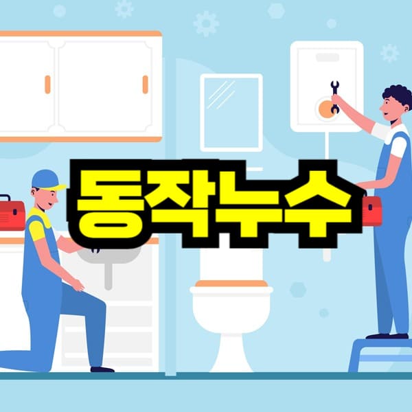 동작구 누수탐지