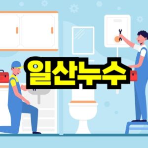 일산 누수탐지 비용