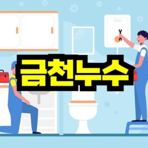 금천구 누수 탐지