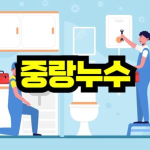 중랑구 누수 탐지