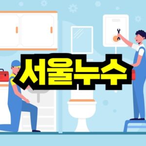 서울 누수 탐지