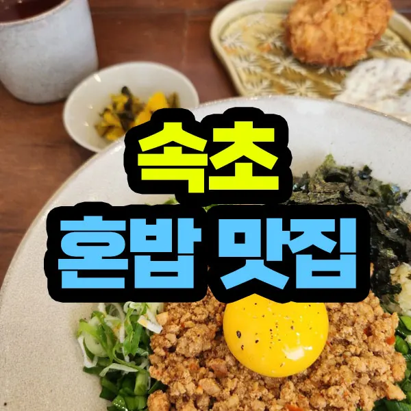 속초 혼밥 맛집 베스트