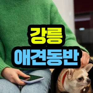 강릉 애견동반 맛집 식당