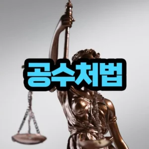 공수처법 한계성