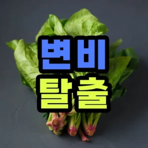 변비에 좋은 채소