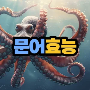 문어 효능