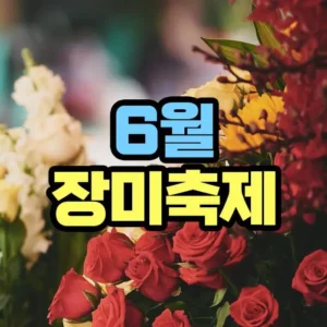 6월 장미축제