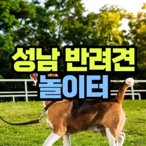 성남 반려견 놀이터