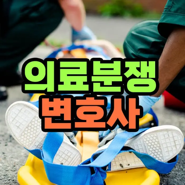 의료분쟁 변호사