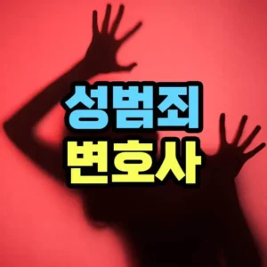 성범죄 변호사 역할