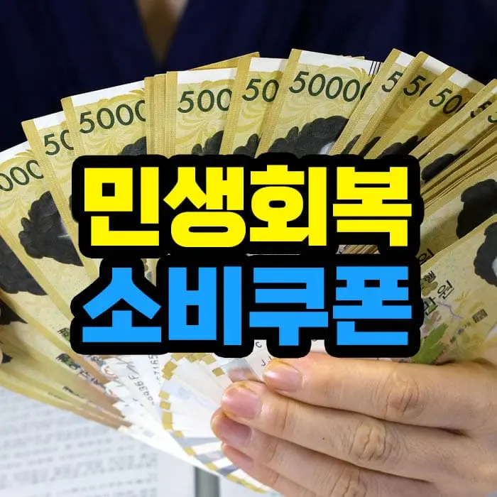 민생회복 소비쿠폰