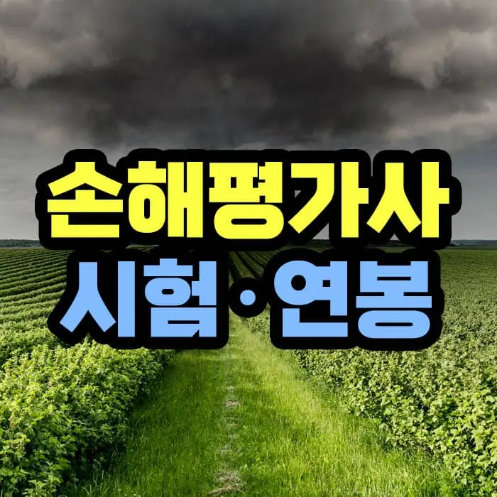 손해평가사 시험